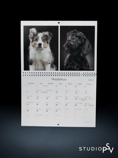 Seinäkalenteri, jossa on kaksi koiran kuvaa Studio P.S.V:stä.